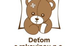 logo dsr