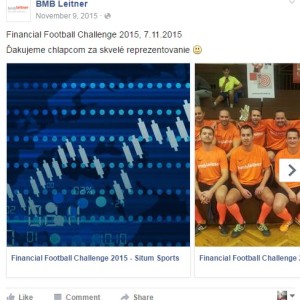ffc15 bmbleitner