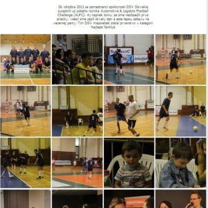 alfc13 dsv fb3
